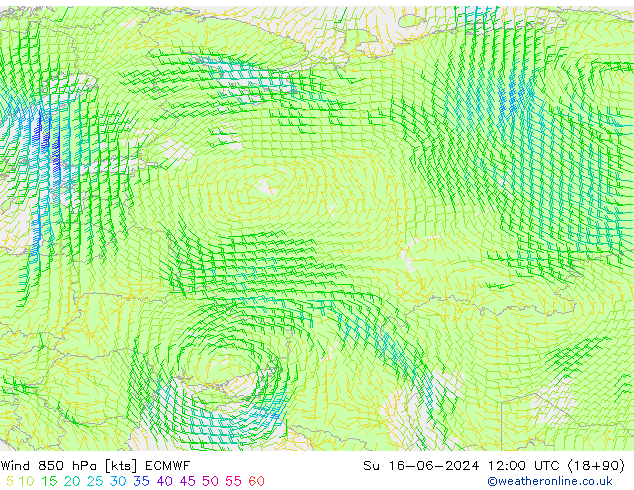 Wind 850 hPa ECMWF Ne 16.06.2024 12 UTC