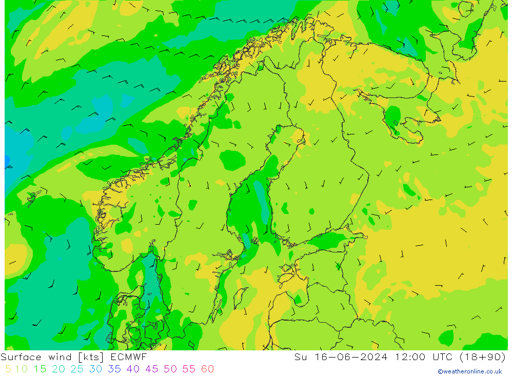 Surface wind ECMWF Su 16.06.2024 12 UTC