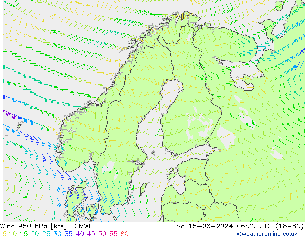 wiatr 950 hPa ECMWF so. 15.06.2024 06 UTC