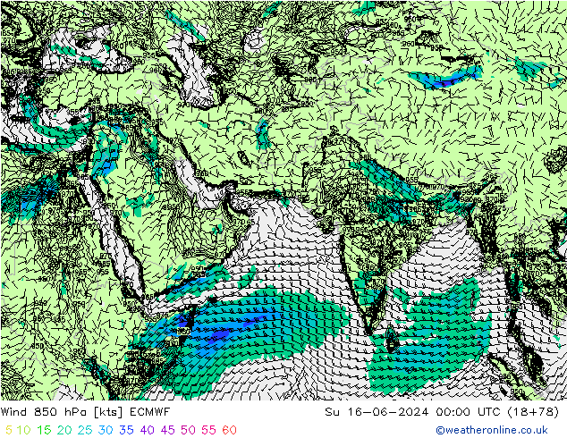 Wind 850 hPa ECMWF zo 16.06.2024 00 UTC