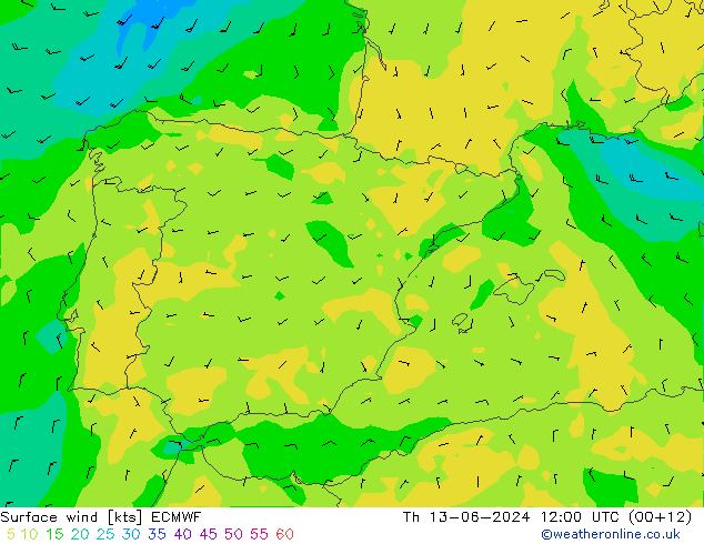 Surface wind ECMWF Th 13.06.2024 12 UTC