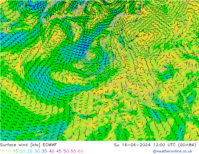 Viento 10 m ECMWF dom 16.06.2024 12 UTC