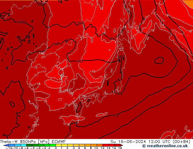 Theta-W 850hPa ECMWF Ne 16.06.2024 12 UTC