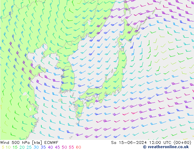 ветер 500 гПа ECMWF сб 15.06.2024 12 UTC