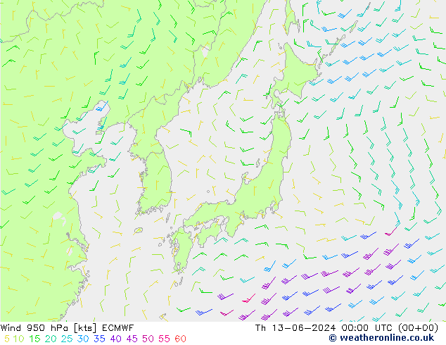 Wind 950 hPa ECMWF do 13.06.2024 00 UTC