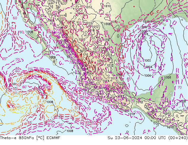 Theta-e 850hPa ECMWF Su 23.06.2024 00 UTC