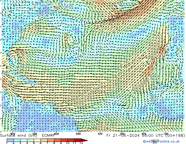 Surface wind (bft) ECMWF Fr 21.06.2024 06 UTC