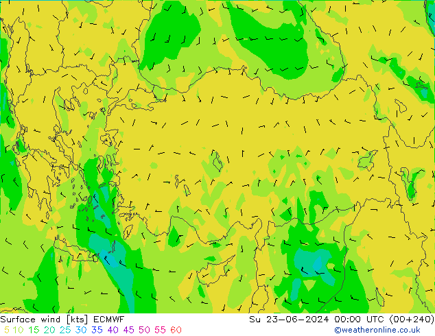 Surface wind ECMWF Su 23.06.2024 00 UTC