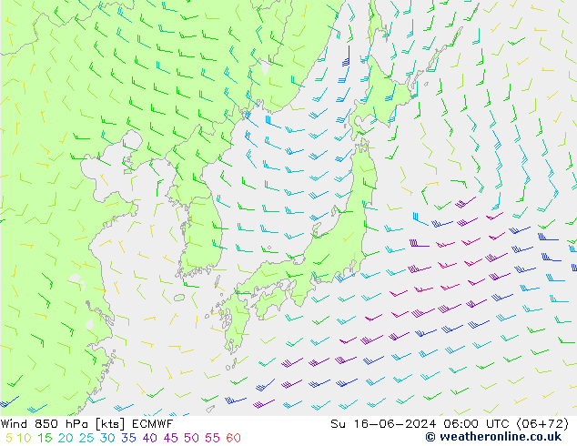 Viento 850 hPa ECMWF dom 16.06.2024 06 UTC