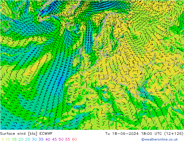 Surface wind ECMWF Út 18.06.2024 18 UTC