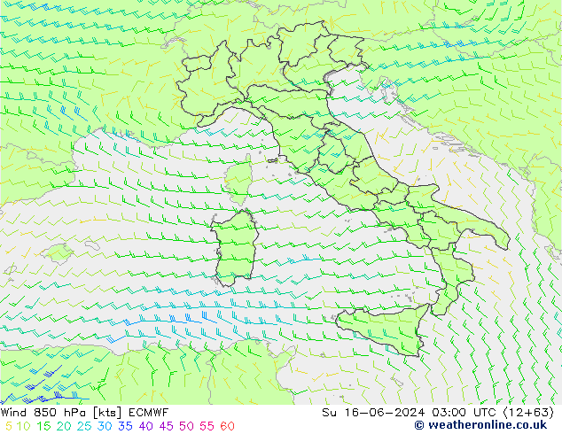 Wind 850 hPa ECMWF zo 16.06.2024 03 UTC