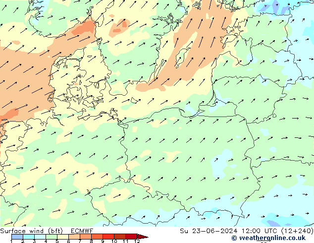 Wind 10 m (bft) ECMWF zo 23.06.2024 12 UTC