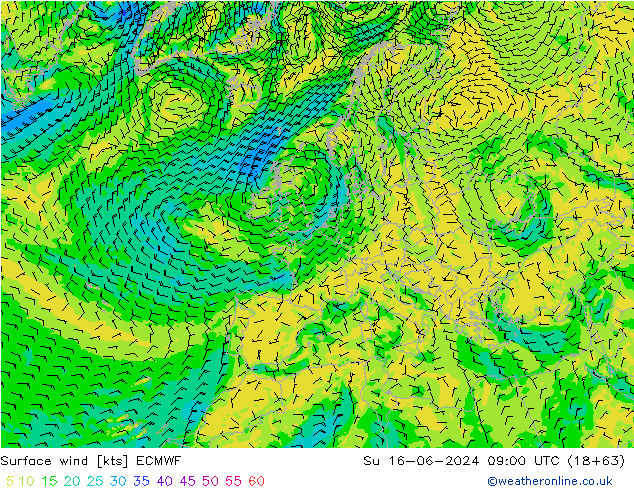 Surface wind ECMWF Su 16.06.2024 09 UTC