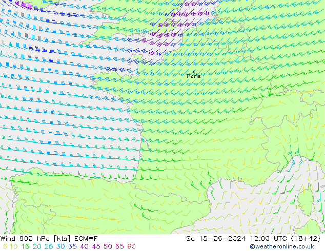 Rüzgar 900 hPa ECMWF Cts 15.06.2024 12 UTC