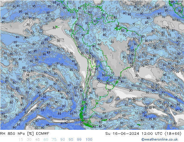 RH 850 гПа ECMWF Вс 16.06.2024 12 UTC