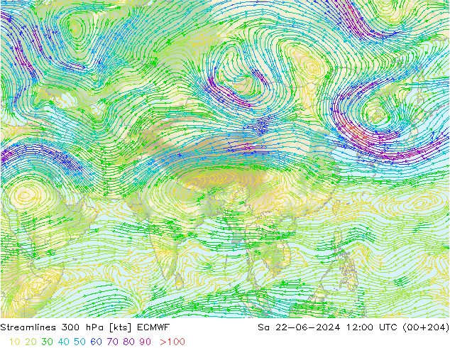  300 hPa ECMWF  22.06.2024 12 UTC