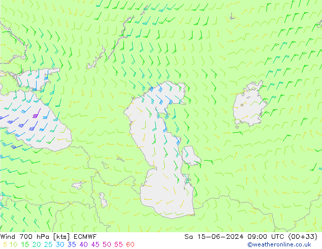  сб 15.06.2024 09 UTC