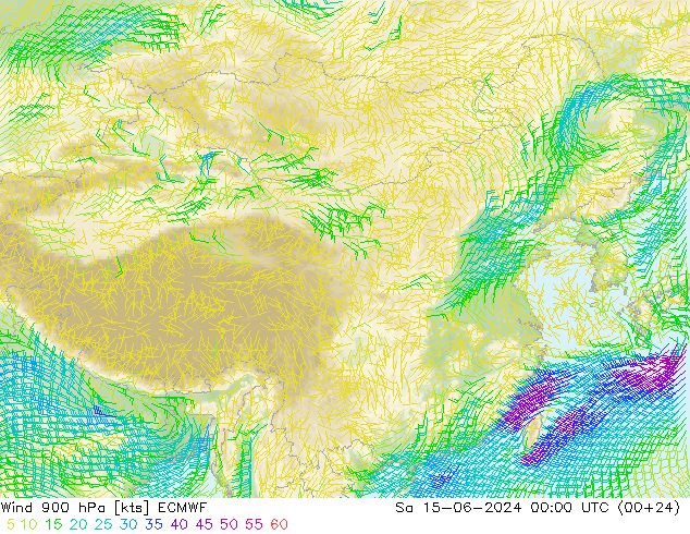 风 900 hPa ECMWF 星期六 15.06.2024 00 UTC