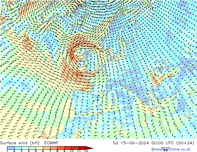 Vento 10 m (bft) ECMWF sab 15.06.2024 00 UTC