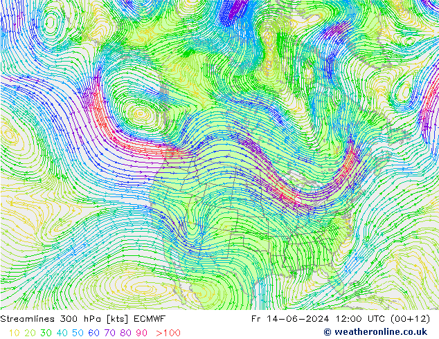 ветер 300 гПа ECMWF пт 14.06.2024 12 UTC
