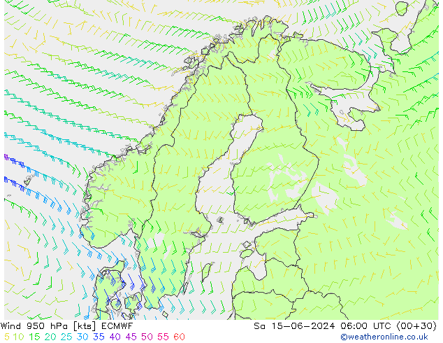 wiatr 950 hPa ECMWF so. 15.06.2024 06 UTC