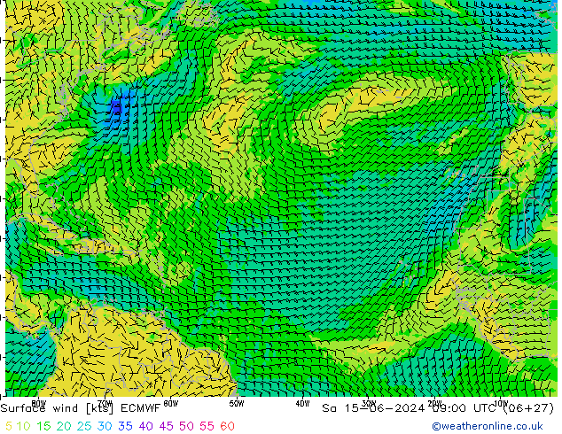 ветер 10 m ECMWF сб 15.06.2024 09 UTC