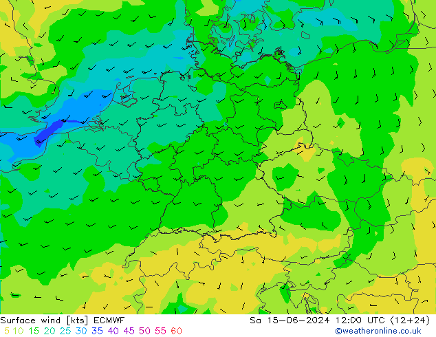 Vent 10 m ECMWF sam 15.06.2024 12 UTC