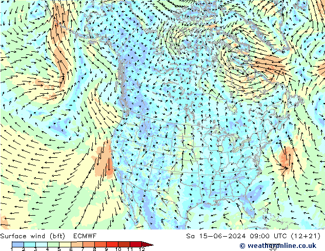 Surface wind (bft) ECMWF Sa 15.06.2024 09 UTC