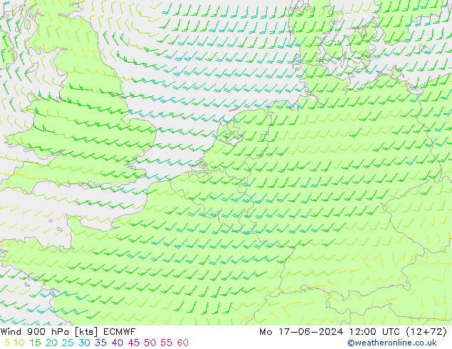 Wind 900 hPa ECMWF ma 17.06.2024 12 UTC