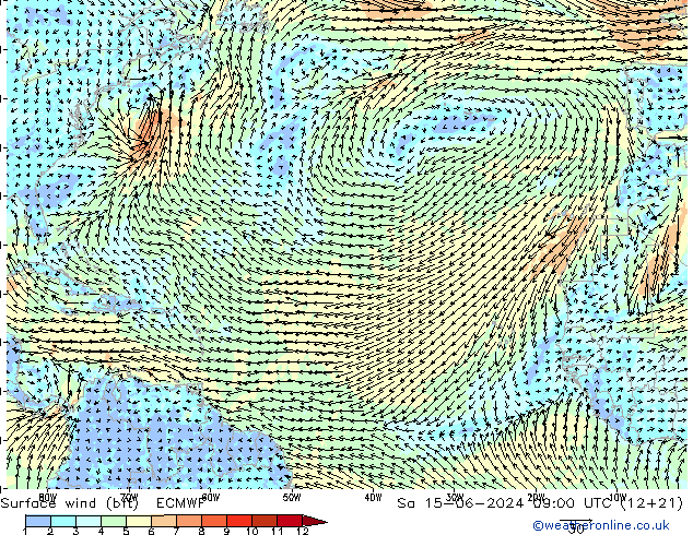 Surface wind (bft) ECMWF So 15.06.2024 09 UTC