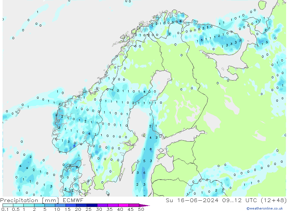 Yağış ECMWF Paz 16.06.2024 12 UTC