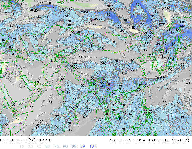 Humidité rel. 700 hPa ECMWF dim 16.06.2024 03 UTC