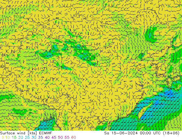 Wind 10 m ECMWF za 15.06.2024 00 UTC