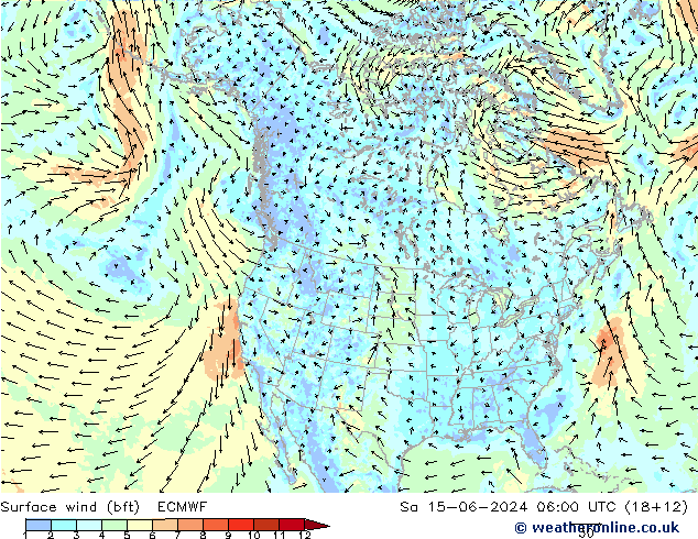 Surface wind (bft) ECMWF Sa 15.06.2024 06 UTC