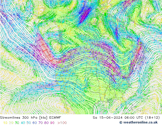 Linea di flusso 300 hPa ECMWF sab 15.06.2024 06 UTC