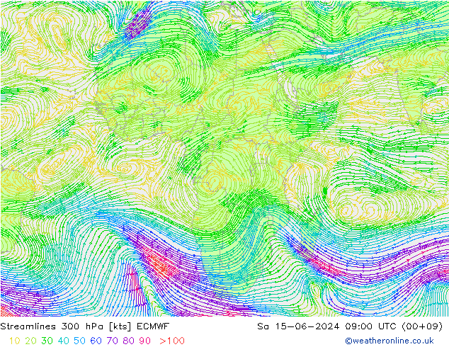 Stroomlijn 300 hPa ECMWF za 15.06.2024 09 UTC