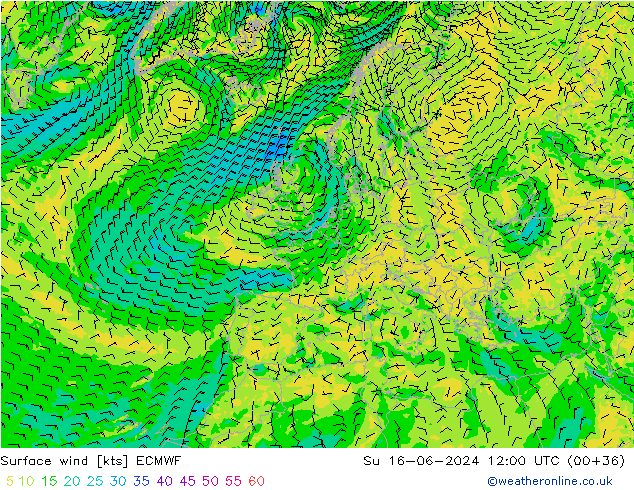 Vento 10 m ECMWF Dom 16.06.2024 12 UTC