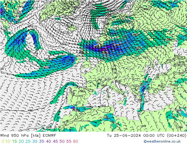 Rüzgar 950 hPa ECMWF Sa 25.06.2024 00 UTC
