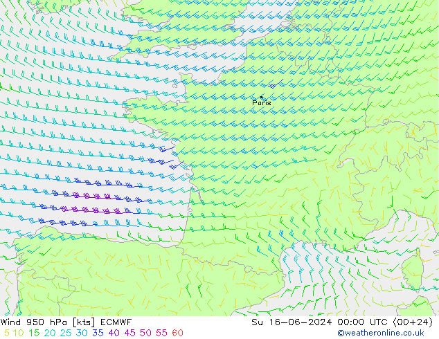 Rüzgar 950 hPa ECMWF Paz 16.06.2024 00 UTC