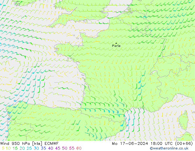 ветер 950 гПа ECMWF пн 17.06.2024 18 UTC
