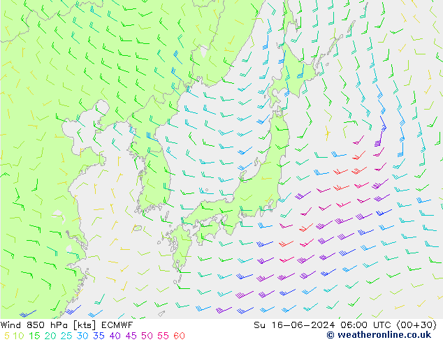 ветер 850 гПа ECMWF Вс 16.06.2024 06 UTC