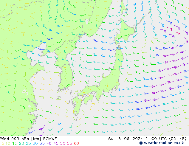 Wind 900 hPa ECMWF Ne 16.06.2024 21 UTC