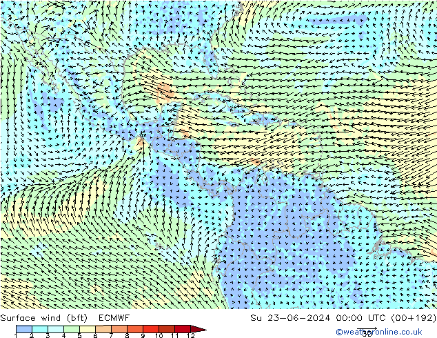 Surface wind (bft) ECMWF Ne 23.06.2024 00 UTC