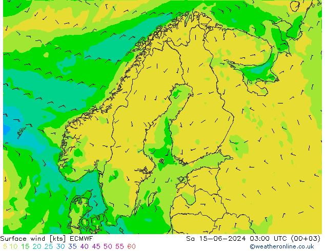 Surface wind ECMWF Sa 15.06.2024 03 UTC
