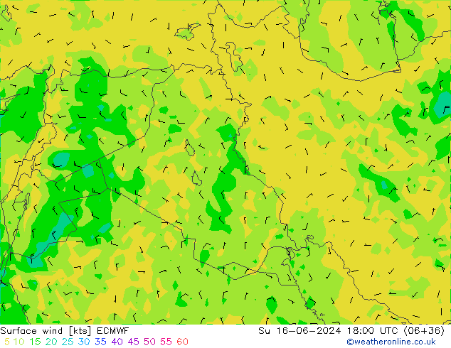 Surface wind ECMWF Su 16.06.2024 18 UTC