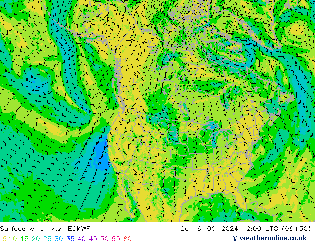 Surface wind ECMWF Su 16.06.2024 12 UTC