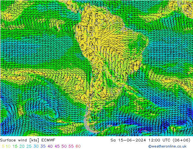 Surface wind ECMWF Sa 15.06.2024 12 UTC