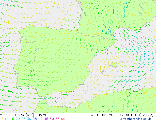 Wind 900 hPa ECMWF Tu 18.06.2024 12 UTC