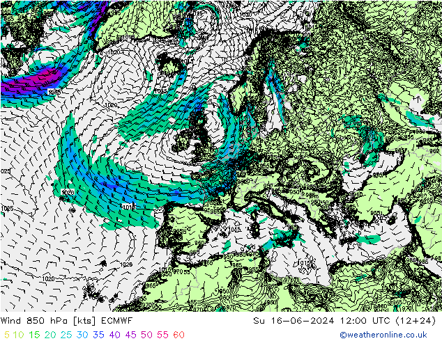 ветер 850 гПа ECMWF Вс 16.06.2024 12 UTC
