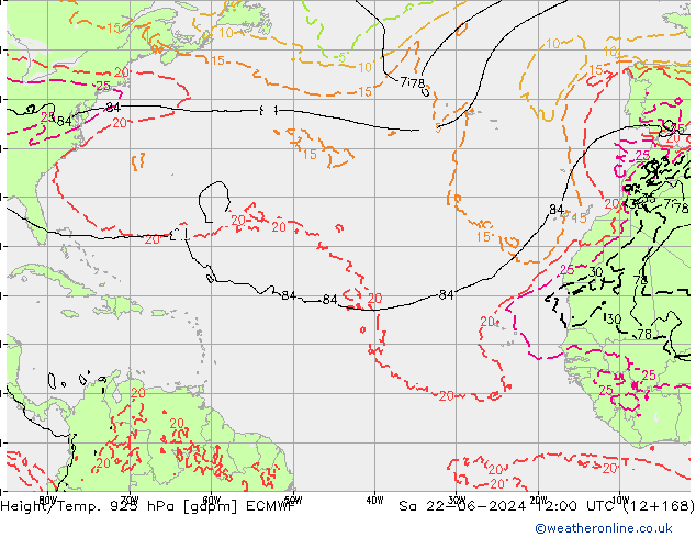 Géop./Temp. 925 hPa ECMWF sam 22.06.2024 12 UTC